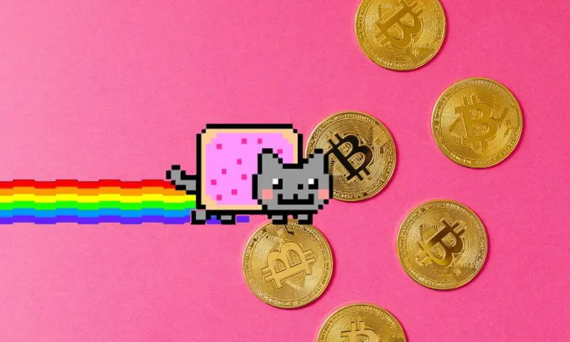 nyan cat bitcoin