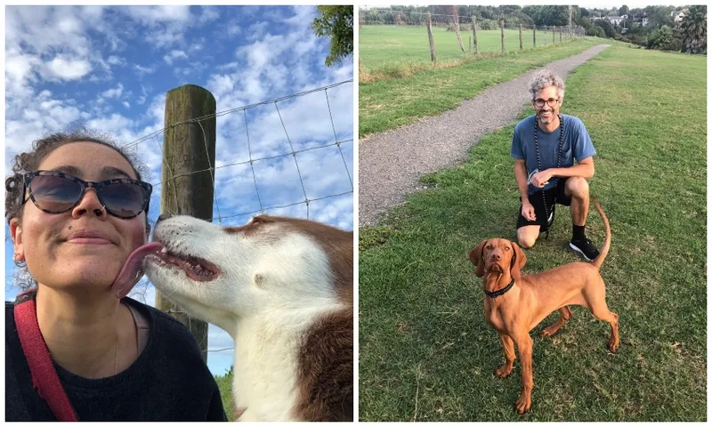 The dog park feature image