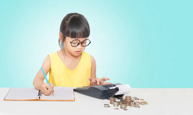 Little accountant