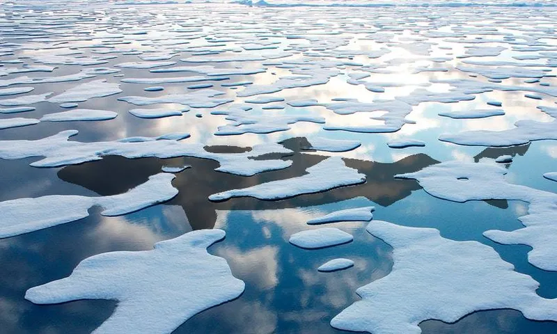 arctic ocean (and shark)