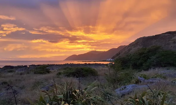 Stunning orange sunset over harakeke, water and hills
