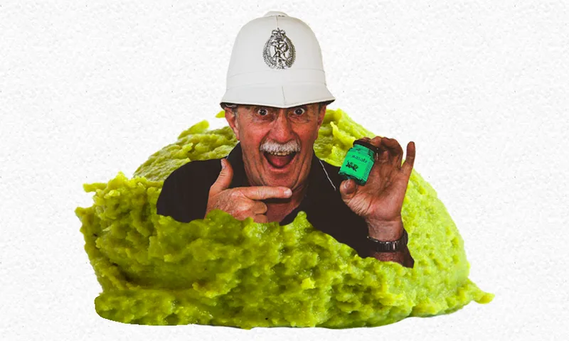 wasabi01