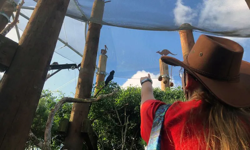 Author in red t-shirt points up at large black cockatoo resting on rope.