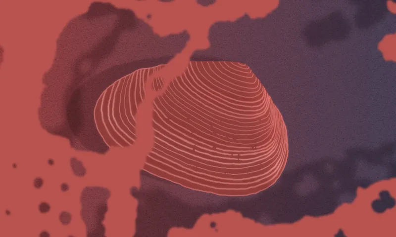 Illustration of a pipi shell in sand, with sea foam, seen from above