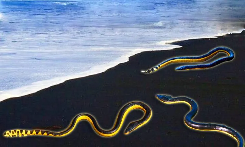 snakes (5)