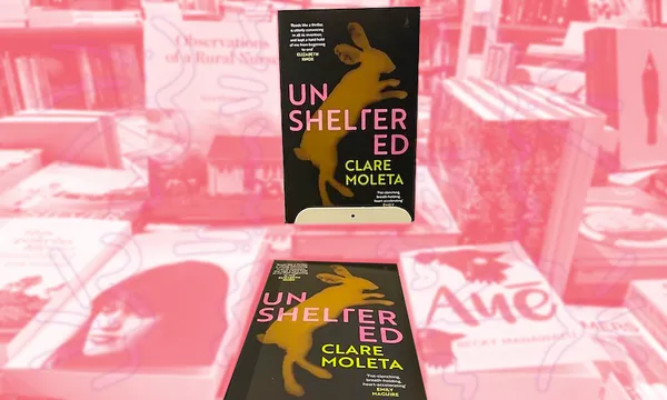 A book Unsheltered on shelves, other books washed out in pink so it stands out.