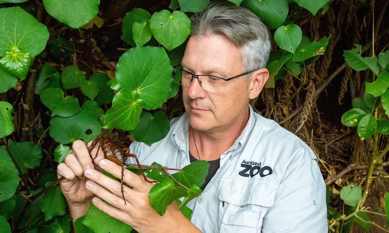 Auckland Zoo’s head of animal care and conservation Richard Gibson
