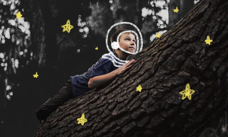 in the stars