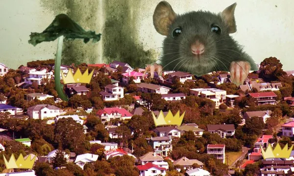 mould-el (10)