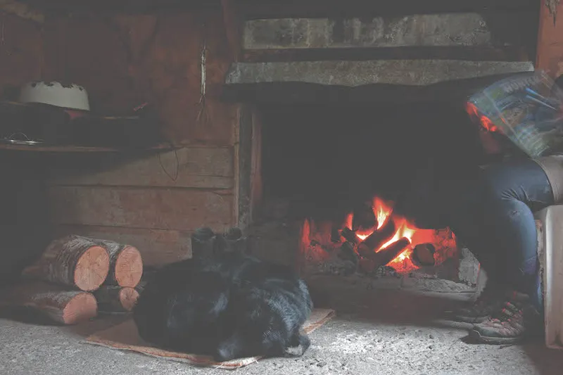 Interior of a mustering hut, open fire roaring, black retriever asleep in front of it, a person reading a hunting mag.