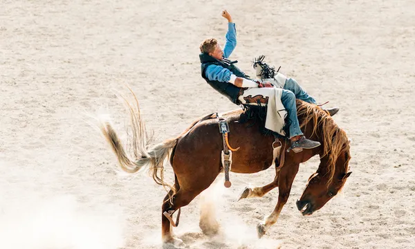 Rodeo Competition