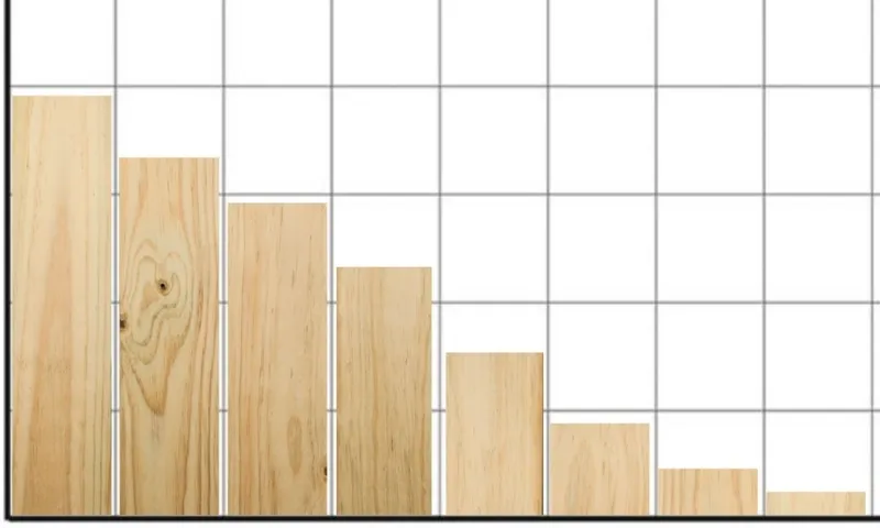 timber (1)
