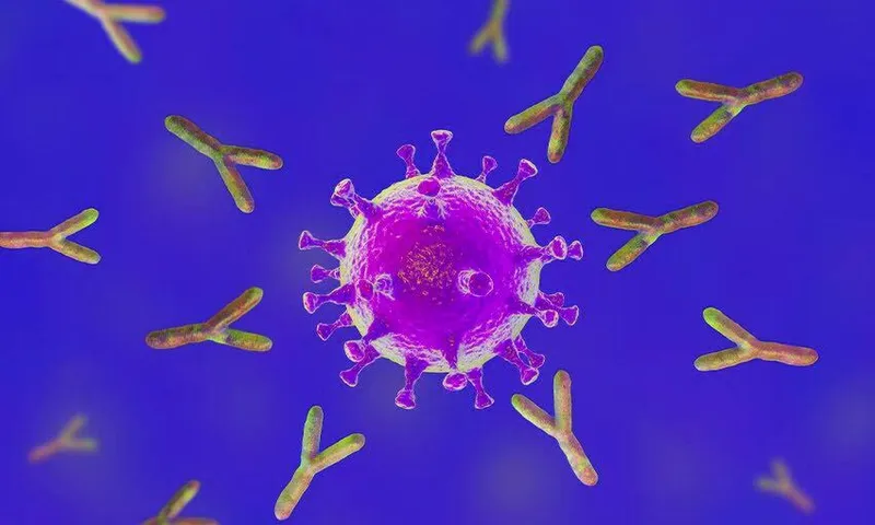 antibodies