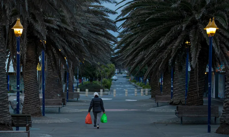 Gloomy scene of a person walking down an avenue of phoenix palms, a chocka shopping bag in each hand.