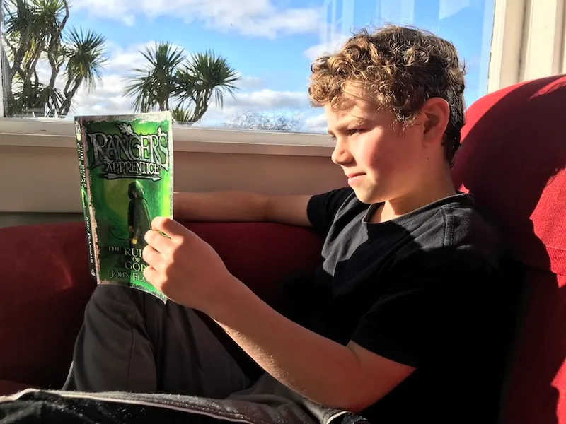 A boy reading a chapter book, beautiful blue-sky day, he's inside on a bright red couch, tī kōuka outside the window