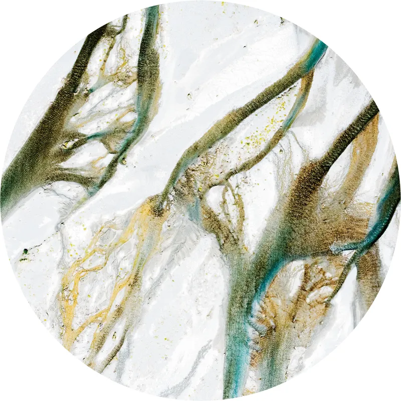 Circular photograph that looks like abstract art – a white sandy surface with tendrils of brown and dark turquoise tangling over it.