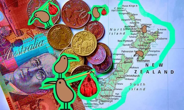 movingkiwis