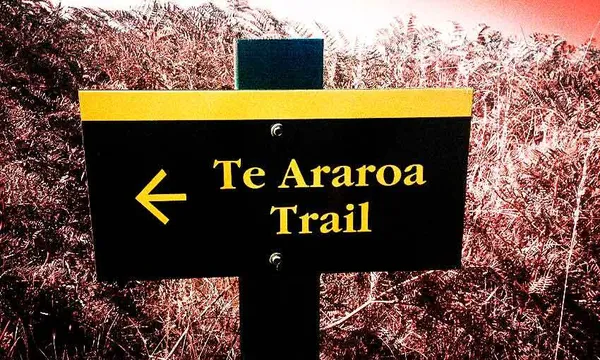 A classic DOC sign in yellow and army-green, with an arrow and the words "Te Araroa Trail". Scrub in background has been coloured in red.