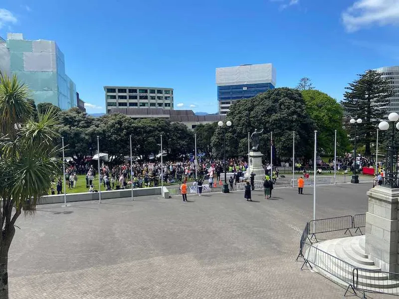 Protesters at parliament