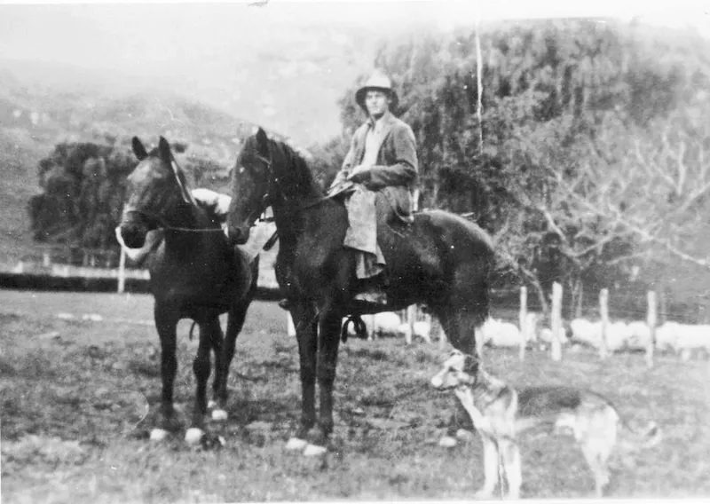 Very old black and white photo showing two horses and a dog, a man on one of the horses. Farm scene.