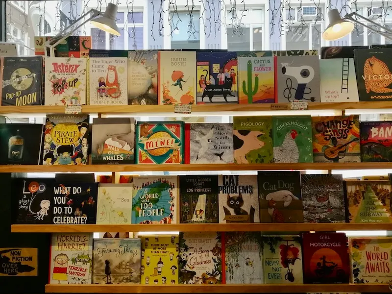 A shelf of amazing books for children, fairy lights draped in window above.