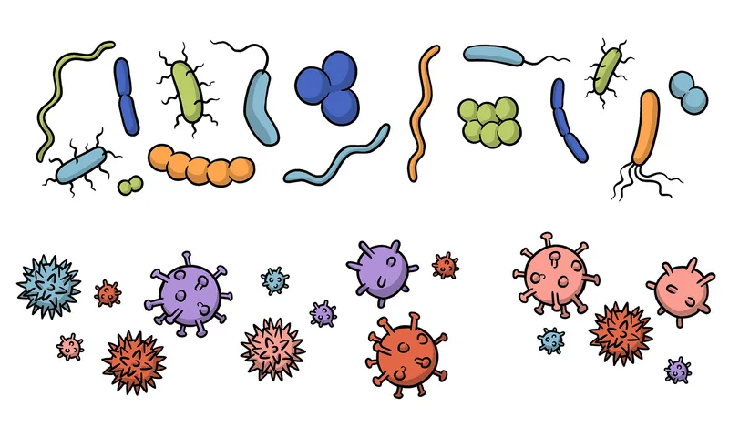 Three things to know about antibiotics header