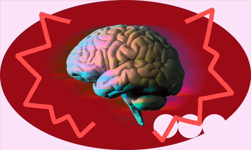 brain