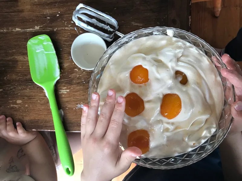 A bowl of white frothy-looking stuff with canned apricots pocked on top. We can the hands of two children who are clearly interested in getting a nosy at this monstrosity.