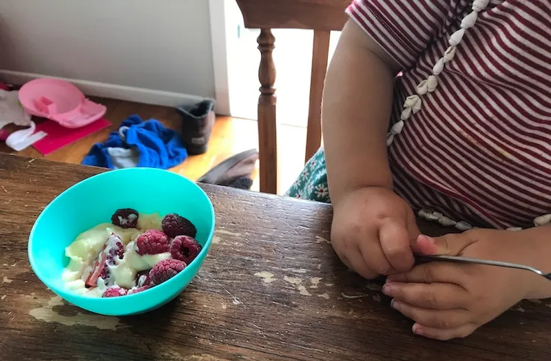 A little bowl with custardy pudding and raspberries on top. We can see the torso of a child recoiling from the bowl.