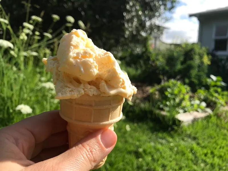 Ice cream in a cup cone in the foreground, background is a verdant green garden.