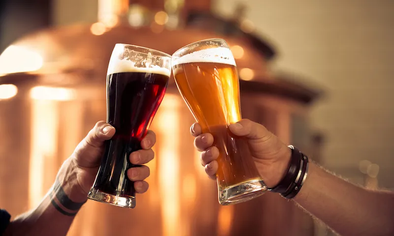 Friends toasting with beer glasses in the microbrewery