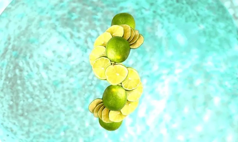 lime-dollars