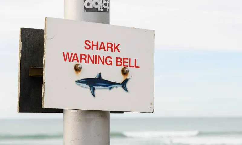shark warning sign
