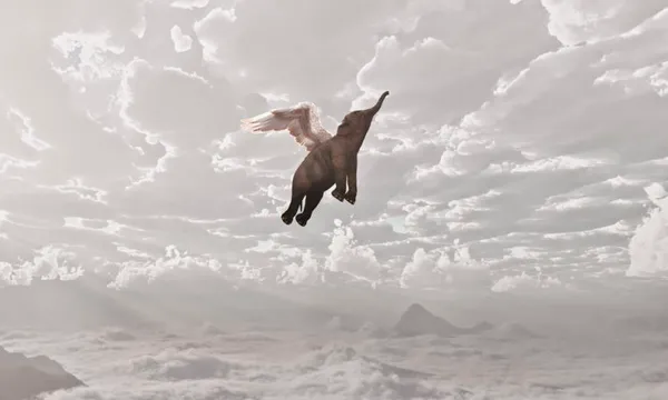 Elephant flying in clouds