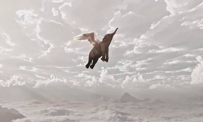 Elephant flying in clouds