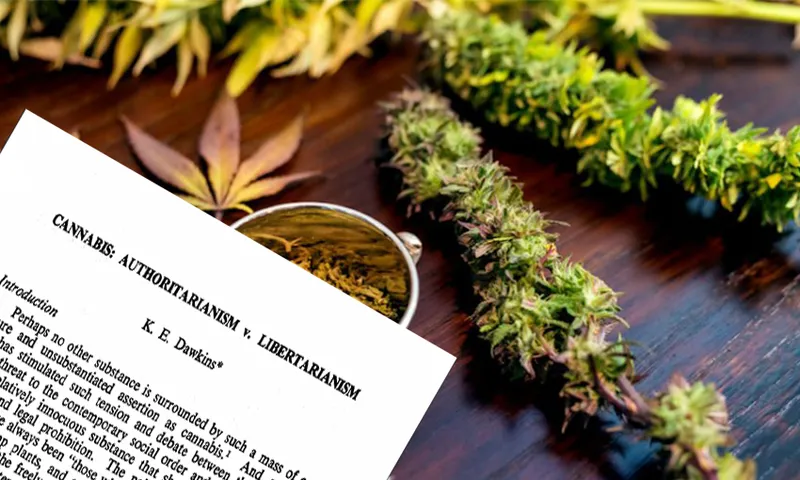 Cannabis study