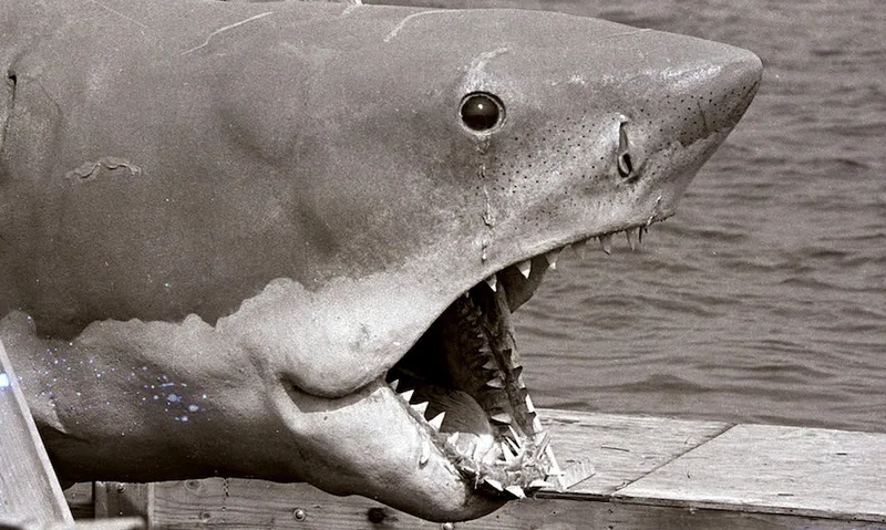 Bruce Jaws