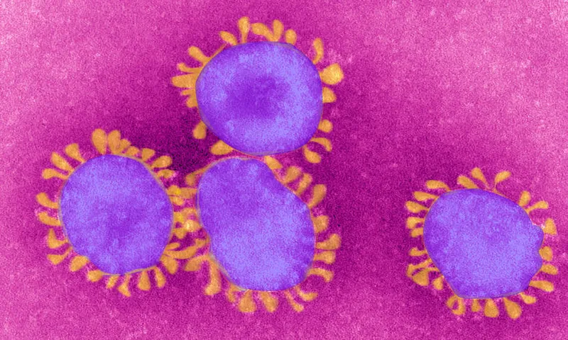 Coronavirus, Tem