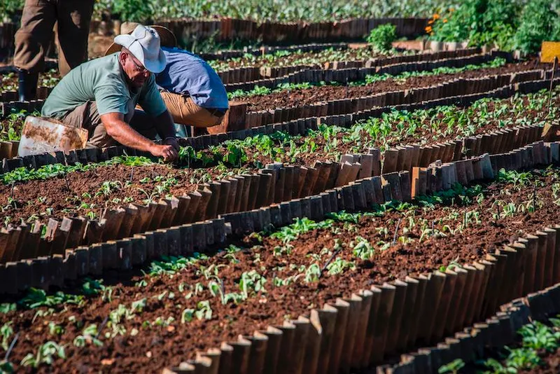 CUBA-FEATURE-ECONOMY-AGRICULTURE