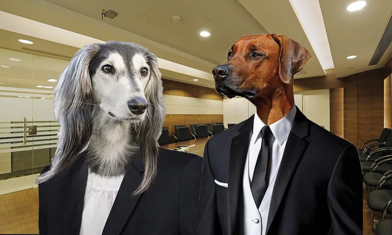 Dog Office