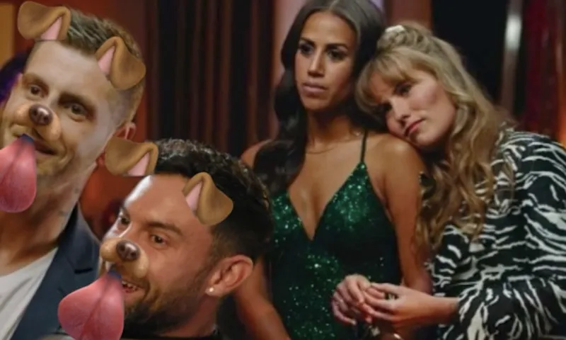 alpha