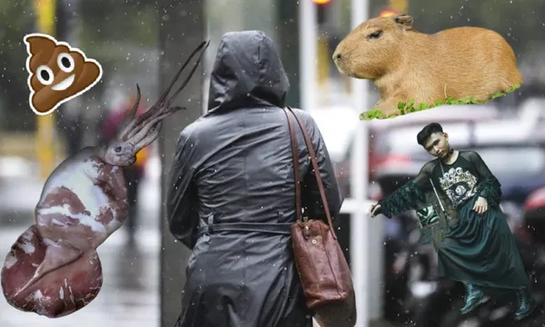 wgtn