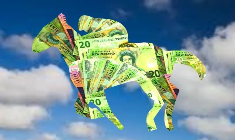 cashhorse