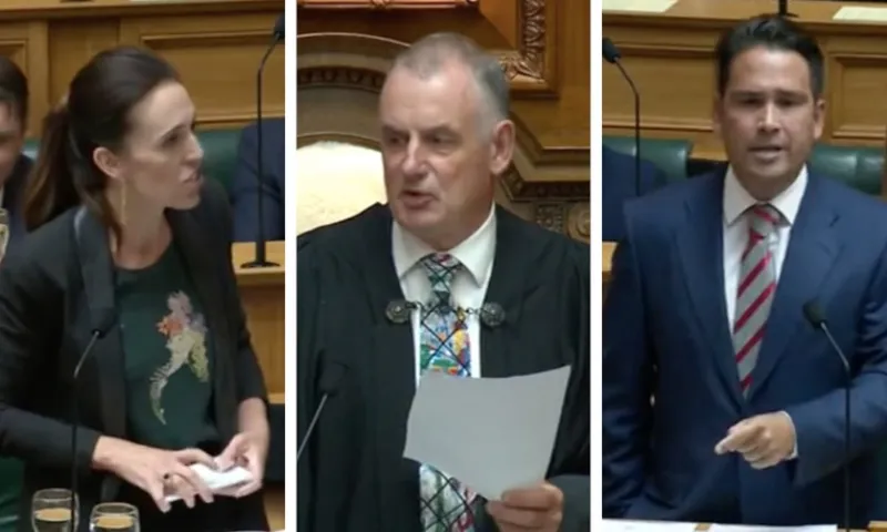 collage new parly resized 2