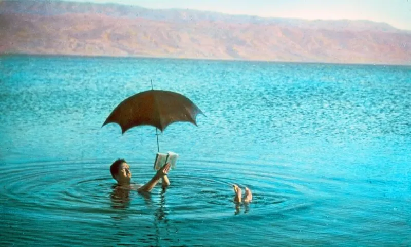 dead sea reading book