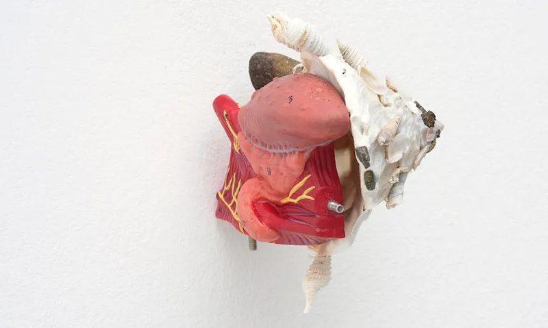 1 Cleave Study (ii), 2019 (B)