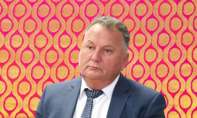 Shane Jones in front of an Indian silk sari