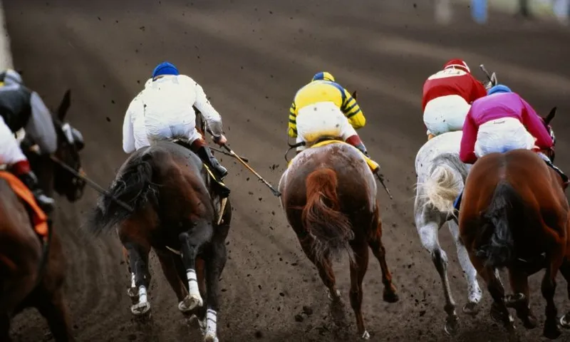 Ockhams race