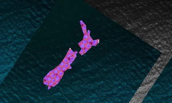 10nz