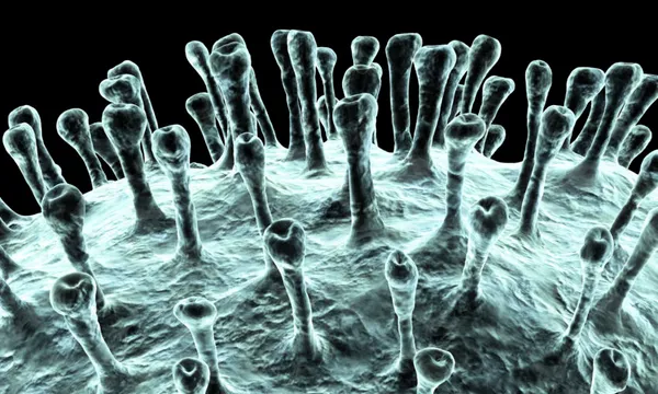 Coronavirus, artwork